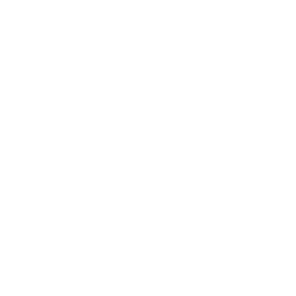 Speedwings Payerne